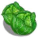 cabbage android application logo